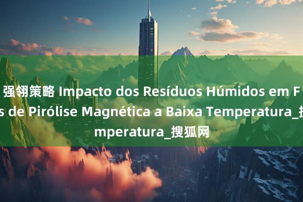强翎策略 Impacto dos Resíduos Húmidos em Fornos de Pirólise Magnética a Baixa Temperatura_搜狐网