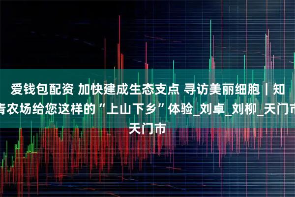 爱钱包配资 加快建成生态支点 寻访美丽细胞｜知青农场给您这样的“上山下乡”体验_刘卓_刘柳_天门市