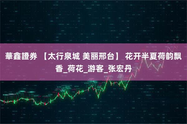 華鑫證券 【太行泉城 美丽邢台】 花开半夏荷韵飘香_荷花_游客_张宏丹