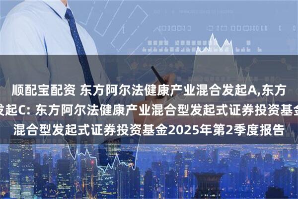 顺配宝配资 东方阿尔法健康产业混合发起A,东方阿尔法健康产业混合发起C: 东方阿尔法健康产业混合型发起式证券投资基金2025年第2季度报告