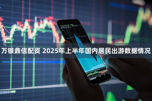 万银鼎信配资 2025年上半年国内居民出游数据情况