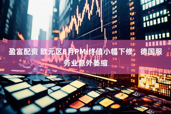 盈富配资 欧元区8月PMI终值小幅下修，德国服务业意外萎缩