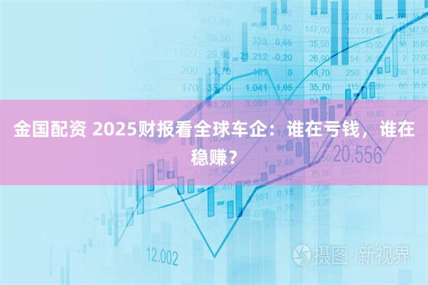 金国配资 2025财报看全球车企：谁在亏钱，谁在稳赚？